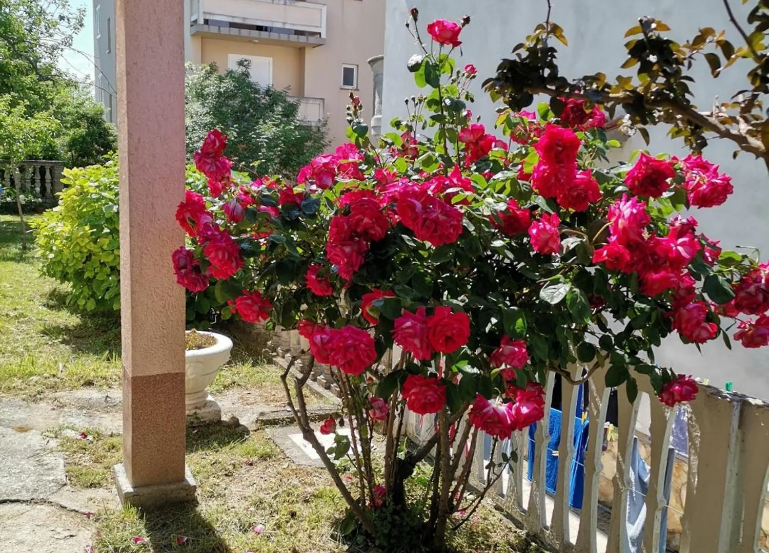 Apartment In Lopar With Terrace, Air Condition, Wifi 4620-3 Croatia